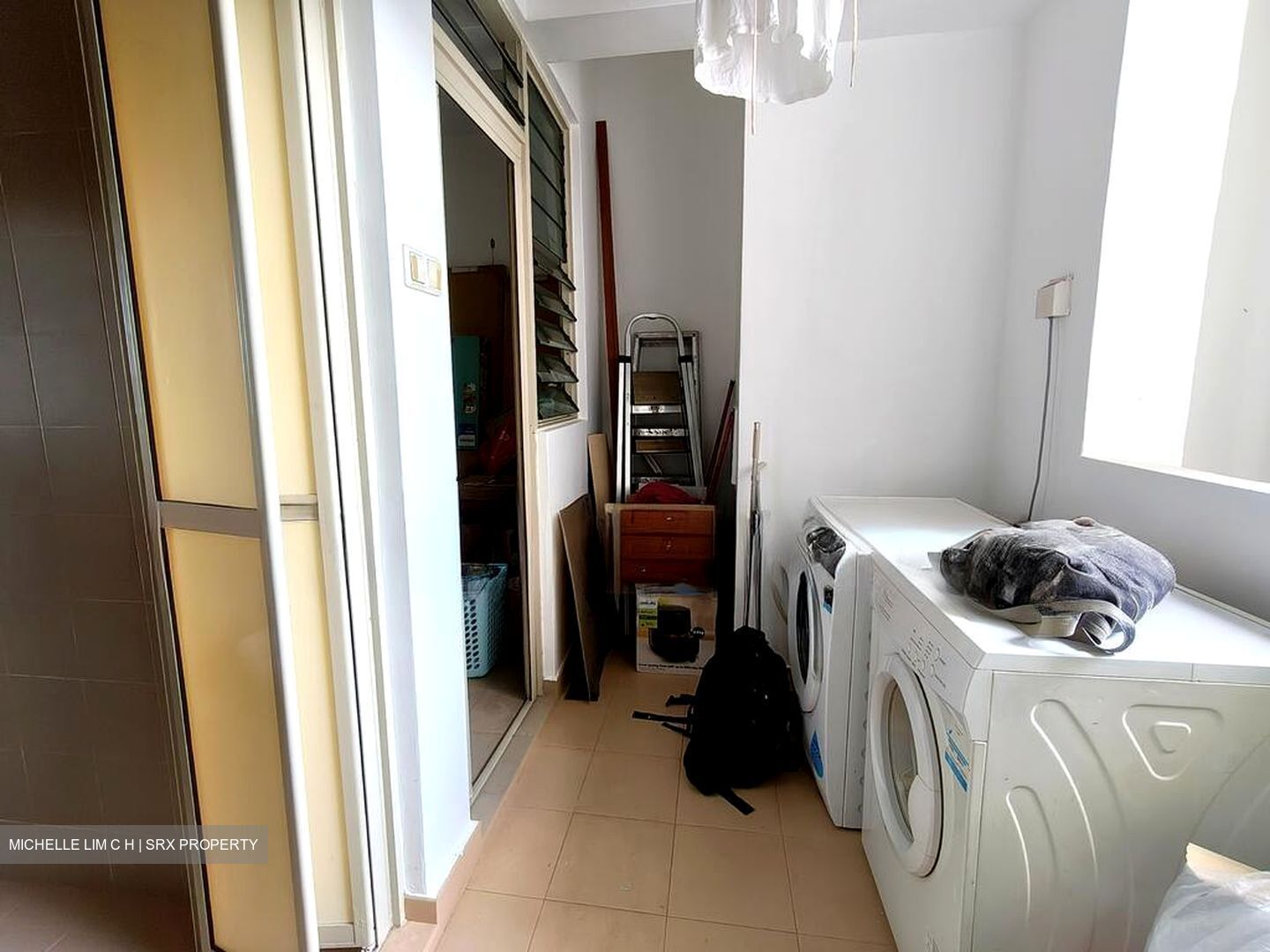 Trellis Towers (D12), Condominium #501202241